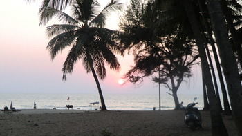 Ducknchill-agonda Agonda